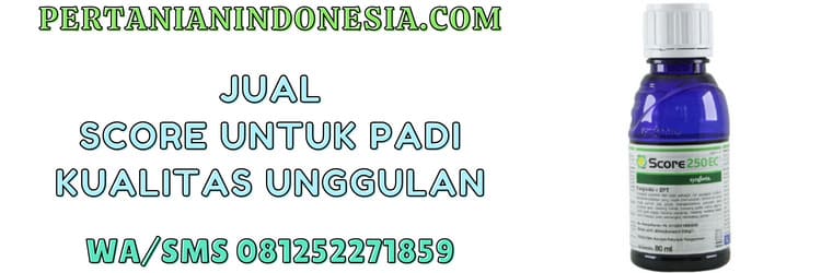 syngenta,syngenta score,jual,jual score untuk padi,pertanian indonesia,murah